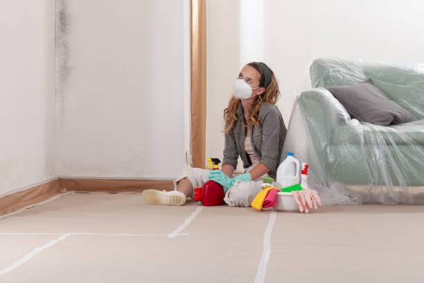 Reliable Basement Mold Remediation contractor in Henderson, MD by Mold Remediation HQ